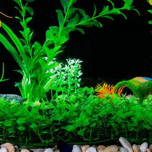 SLSON Aquarium Decorations - Artificial Plastic Grass Lawn 9 inches for Fish Tank Decoration