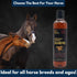 E3 (8 oz) Antifungal Ketoconazole and Thymol Skincare Shampoo for Horses and Dogs - Relieves Itching, Irritation