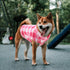 ASENKU Plaid Dog Fleece Vest, Soft Comfortable Pet Pajamas, Warm Winter Dog Shirt Jacket for Cold Weather - Red, XXS