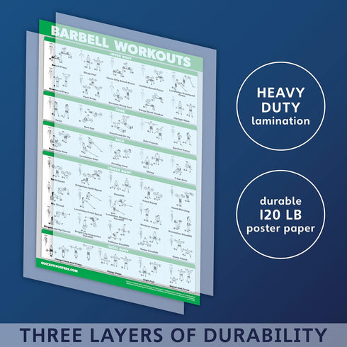 Palace Learning 3 Pack Workout Charts - Dumbbell, Barbell, and Cable Machine Exercises (LAMINATED, 18” x 24”)
