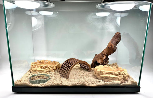 Lucky Critter Hermit Crab Climbing Toy Bridge | Hermit Crab Tank Decor Hide | Decoration Accessories Supplies Toys