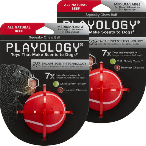 Playology Squeaky Chew Ball for Dogs, All Natural Beef Scented Toy for Medium & Large Dogs, Value 2-Pack