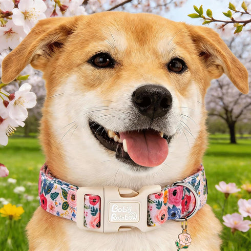 Dog Collars, Spring Blue Floral Print Pet Collar Holiday Light Pink Durable Adjustable Pendant Gift Collar with Quick
