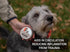 3-in-1 Paw Ointment Holistic Natural Derived Herbal for Dogs, Cats, Horses: Conditioning & Moisturizing for Paws - 1 oz