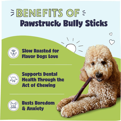 Pawstruck All-Natural 12" Bully Sticks for Dogs - Long Lasting, Rawhide Free, 1 lb. Bag