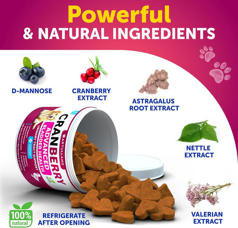 120 Dog UT Treats - Cranberry Chews for Dogs - Urinary Tract & Bladder Support Supplement with Natural Cranberry