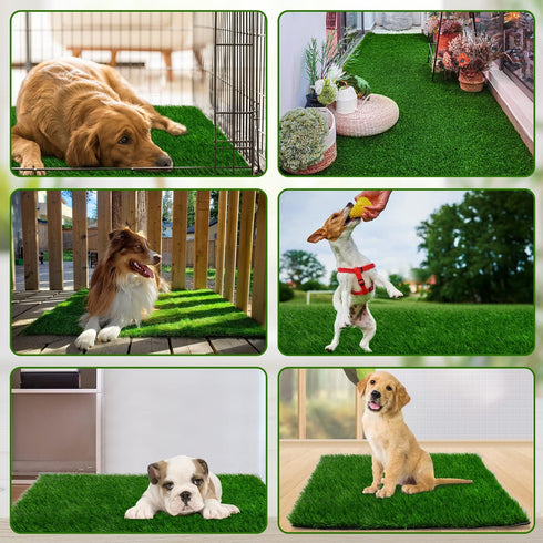 Grass Pad for Dogs, 59.1 x 39.4 inches, Soft Real Grass for Potty Training, Easy to Clean Fake Grass