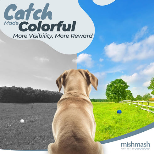 MISHMASH Vision Dog Ball - Premium Bite-Proof ETPU, Waterproof Bouncy Interactive Dog Toy, Durable Tennis Ball for