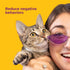 Comfort Zone Cat Calming Collar, 30-Day Calming Collar for Anxiety and Stress Relief in Cats