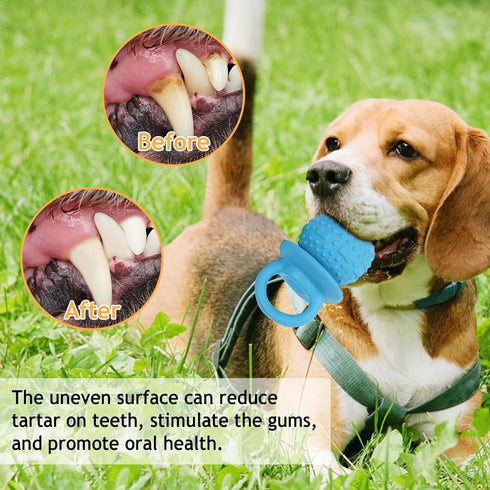 (2 Latex Chew Dog Toys, Novelty Squeaky Pacifier Dog Toys for Teething Puppies, Mild Chewing Small, Medium, Large Dogs