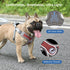 Dog Harness with Leash Set, No Pull Adjustable Step-in Harness with Breathable Padded Vest for Small Medium Large Dogs