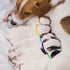 Weewooday 45 Pieces Puppy Whelping Collars, Double-Sided Newborn Pet Identification Bands, Adjustable Soft Collars