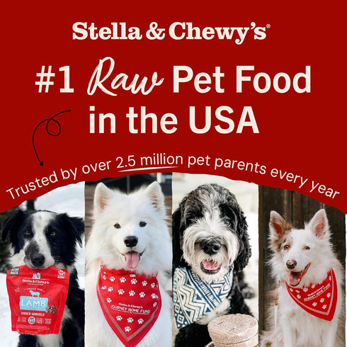 3oz Stella & Chewy's Freeze-Dried Raw Beef Heart Dog Treats - Single Ingredient, No Additives - Premium Training Treats