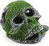 AQUA KT Aquarium Landscape Head Skeleton Skull - Fish Hiding Place Cichlid Cave for Betta Fish Tank