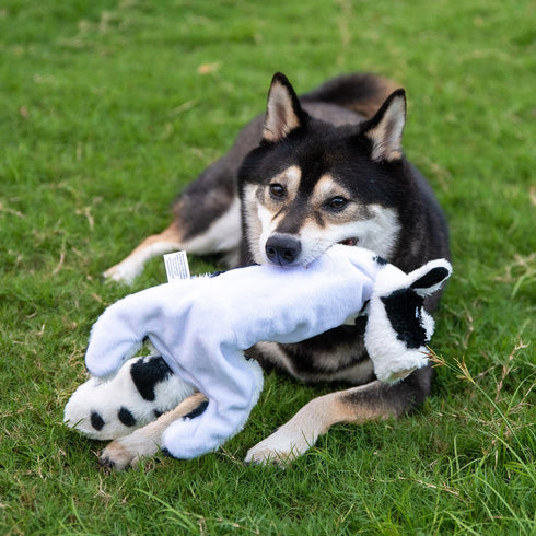 Best Pet Supplies 2-in-1 Stuffless Squeaky Dog Toys, Soft, Durable Fabric for Small, Medium, and Large Pets