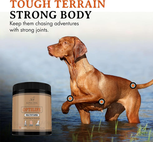 OptiLife Multivitamin for Adult Dogs, Probiotics, Allergy Support, Joint Support, Powder Supplement (30 Servings)