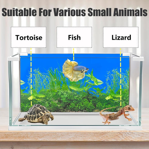 Fish Backgrounds Paper Double Sides Undersea Aquarium Poster, Colorful Sea Anemone Fish Tank Sticker Decorations.