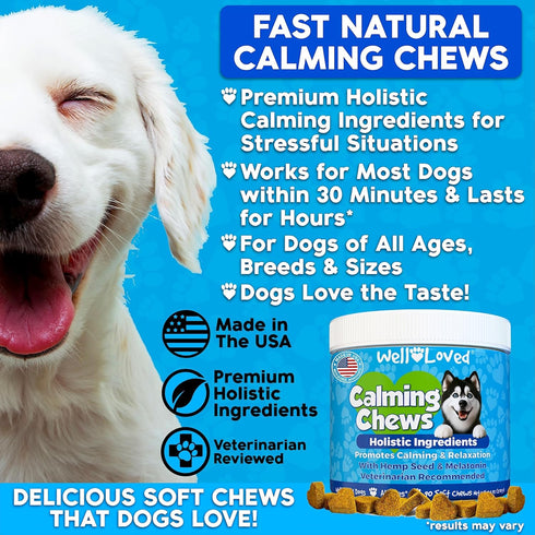 90 Count Well Loved Calming Chews for Dogs - Dog Calm Treats, Made in USA, Vet Developed, Behavior Support, Stress