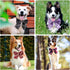 Segarty Dog Bowtie, 50pcs Adjustable Dog Bow Ties for Medium Large Dogs, Cute Plaid Neckties Grooming Accessories