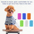 AUEAR 12 Pack Double Sided Fine Tooth Pet Flea Lice Combs for Dogs Cats, Grooming Combs in 6 Colors, Tick Removal Tool