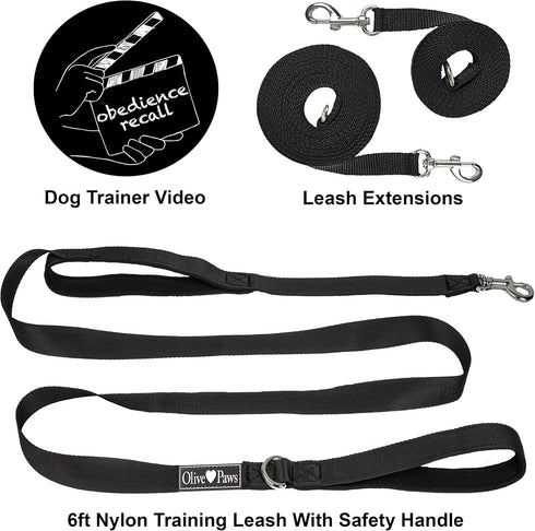 30 ft Dog Leash for Small, Medium, Large Dogs, Training Dog Leash Set 6ft, 15ft, 20ft, 30ft Long Dog Lead