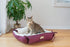 Armarkat 2-in-1 Cat Pet Bed & Fleece Cat Mat, Burgundy/Ivory, 16" L x 16" W x 6" H (C06HJH/MB)