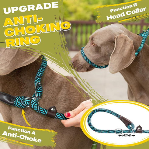Fida Durable Slip Lead Dog Leash - 6 FT x 1/2" Heavy Duty Loop Leash for Large, Medium Dogs, No Pull Training (Blue)