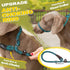 Fida Durable Slip Lead Dog Leash - 6 FT x 1/2" Heavy Duty Loop Leash for Large, Medium Dogs, No Pull Training (Blue)