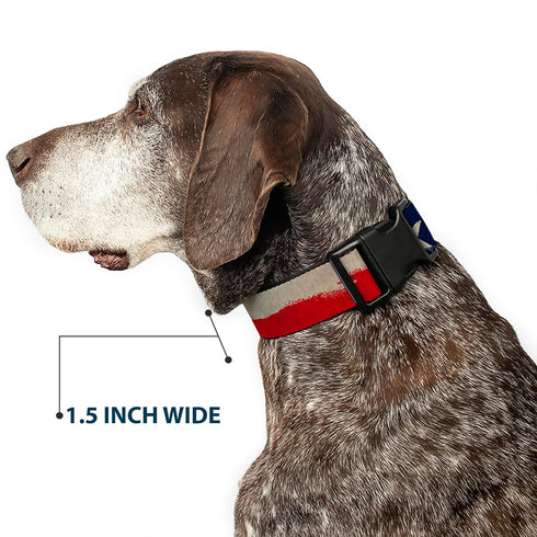 Buckle-Down Plastic Clip Collar - Texas Flag CLOSE-UP Distressed Painting - 1" Wide, Fits 15-24" Neck