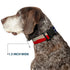 Buckle-Down Plastic Clip Collar - Texas Flag CLOSE-UP Distressed Painting - 1" Wide, Fits 15-24" Neck
