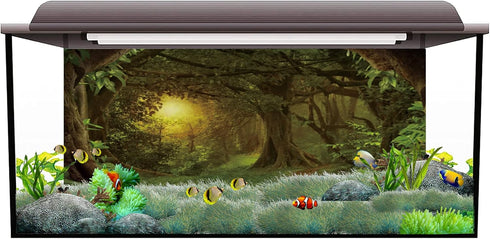 AWERT 72x24 inches Psychedelic Forest Terrarium Background Dim Old Trees Woodland Reptile Habitat Background Green Rainforest Aquarium Background Vinyl Background