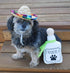 4 Pack Fiesta Dog Chew Toys and Sombrero - Mexican Squeak Plush Toys for Chihuahuas - Taco, Tequila, Hot Sauce