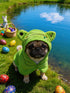IOICYBF Dog Hooded Bathrobe Towel, Fast Drying Bath Towel Absorbent Warm Blanket Green S