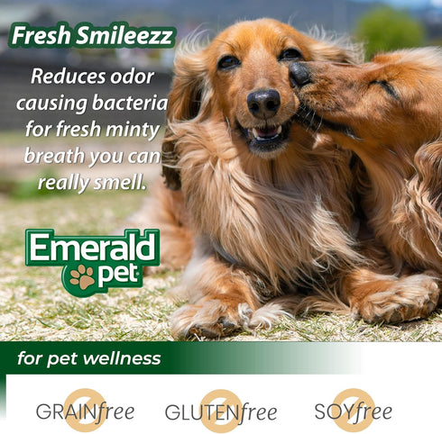 Emerald Pet Fresh Smileezz Grain Free Dog Dental Treats for Puppies and Small Breeds, Minty Fresh Breath, 12 Oz