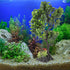 Ipetboom Green Artificial Plastic Plants, Aquarium Bonsai Tree Plant Fish Tank Decorations for Goldfish Betta