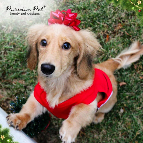 Parisian Pet Dog T-Shirt, Embroidered Santa Outfit, Cotton Christmas Dog Shirt, Large, Machine Washable