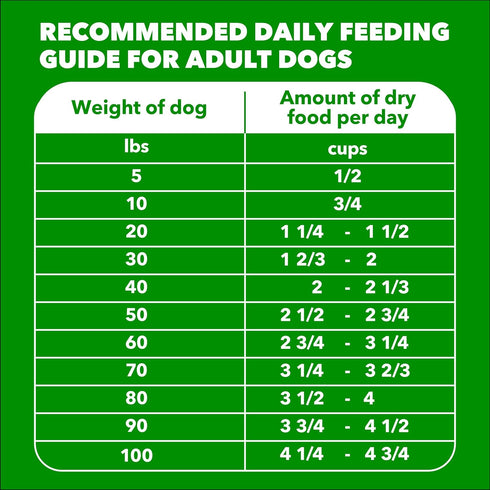 5 lb. IAMS Proactive Health Adult Minichunks Dry Dog Food Beef & Rice Recipe, Bag