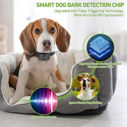 2 Pack Rechargeable Dog Bark Collar, Anti Barking Collar with 5 Sensitivity, Waterproof Smart Training Collar for Large