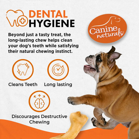 Canine Naturals IrresistiBONES, Long Lasting Puppy Chicken and Rice Chew, 3 Pack, Made with USA Chicken