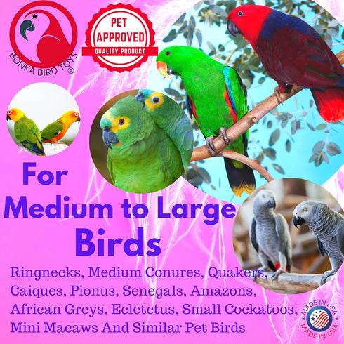 Bonka Bird Toys 1730 Foraging Heart Medium, 9” x 6” - For Conures, Cockatiels, Parakeets, and Similar Breeds