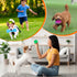 9 Pcs Dog Squeaky Toys Set - Bone and Donut Shape Teething Toys for Small and Medium Dogs, TPR Rubber Chew Toy