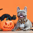 Halloween Dog Collar with Sunflower Bow - Holiday Pumpkin and Spook Collar for Small, Medium, Large Pets, Puppies