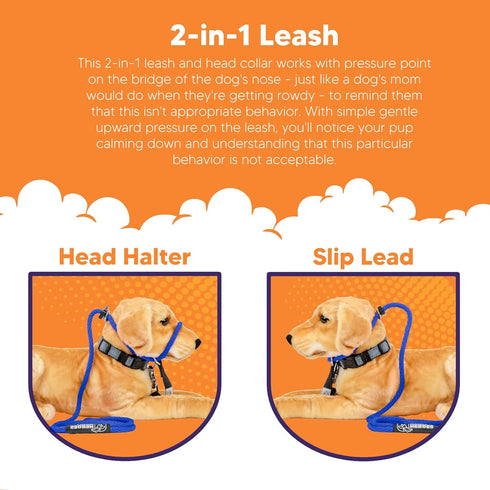 Heather's Heroes Sidekick Dog Headcollar with Leash, Effective Training Tool for Leash Reactivity (Blue, Mini)