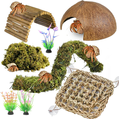 Hermit Crab Accessories, Hermit Crab Climbing Toys,Flexible Moss Pole with Coconut Shell