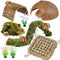 Hermit Crab Accessories, Hermit Crab Climbing Toys,Flexible Moss Pole with Coconut Shell