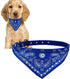 Crystal Studded Blue Bandana Pet Accessory - Hypoallergenic Polyester for Small Dogs, Cute Accessories