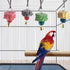 Bird Grinding Beak Calcium Stone with Bell, 6-Pcs Chewing Toys for Chinchilla, Bunny, Budgie