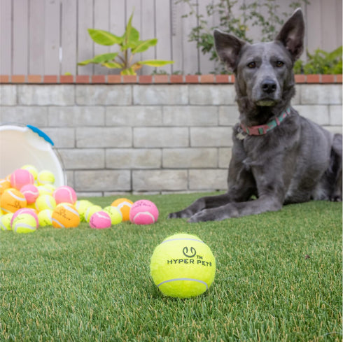 Tennis Balls for Dogs, Hyper Pet, 4 Pack, 2.5" Green, Safe Dog Ball for Exercise & Training