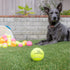 Tennis Balls for Dogs, Hyper Pet, 4 Pack, 2.5" Green, Safe Dog Ball for Exercise & Training