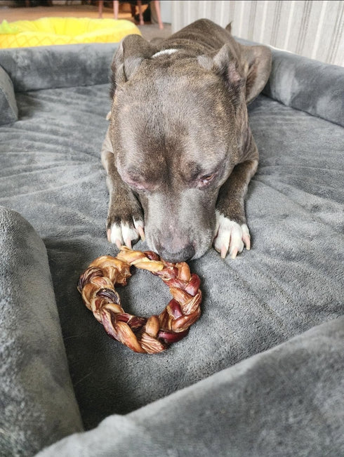 hotspot pets Braided Bully Stick Rings for Dogs - Premium All Natural Long Twisted Beef Pizzle Chew Treats